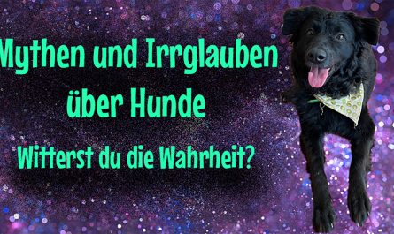 Beitragsbild zu "Mythen und Irrglauben über Hunde": Türkise Schrift (Mythen und Irrglauben über Hunde: Witterst du die Wahrheit?) auf violettem Hintergrund. Neben dem Text befindet sich das Bild eines schwarzen Hundes mit heraushängender Zunge.